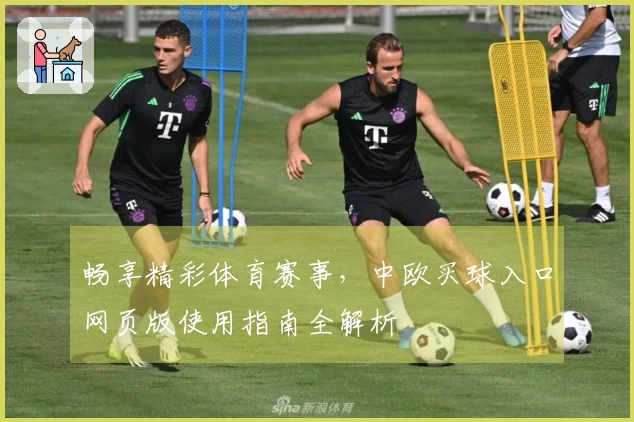 畅享精彩体育赛事,中欧买球入口网页版使用指南全解析