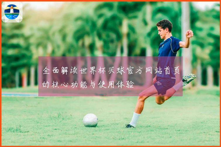 全面解读世界杯买球官方网站首页的核心功能与使用体验