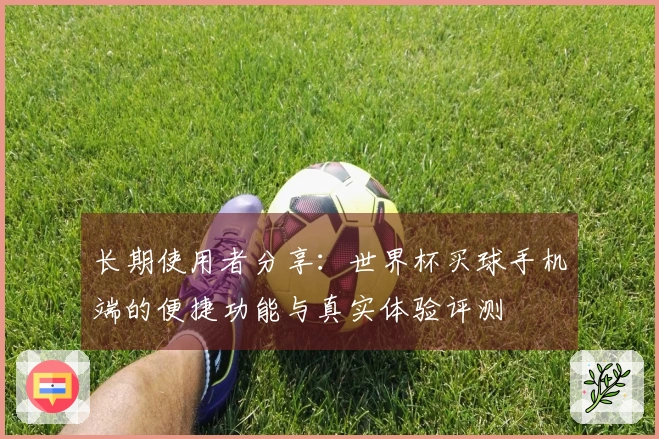 长期使用者分享：世界杯买球手机端的便捷功能与真实体验评测