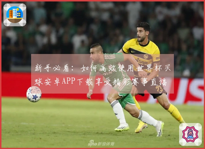新手必看：如何高效使用世界杯买球安卓APP下载享受精彩赛事直播