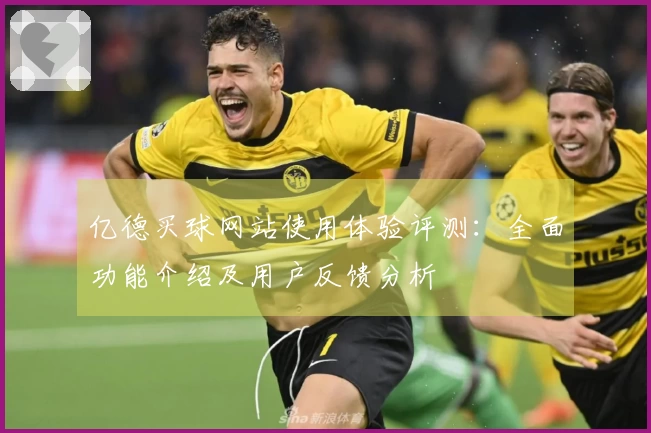亿德买球网站使用体验评测：全面功能介绍及用户反馈分析