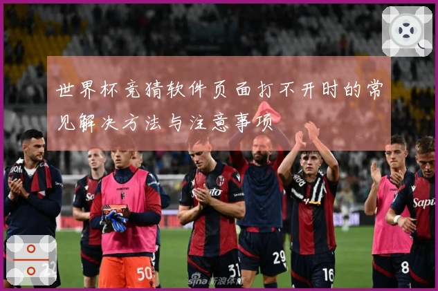 世界杯竞猜软件页面打不开时的常见解决方法与注意事项