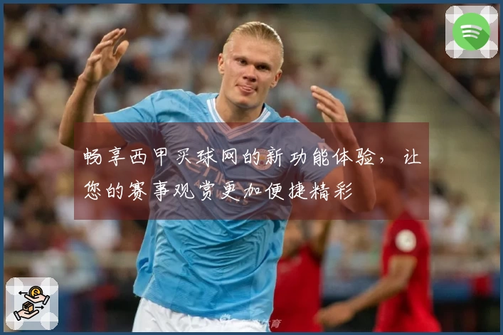 畅享西甲买球网的新功能体验，让您的赛事观赏更加便捷精彩