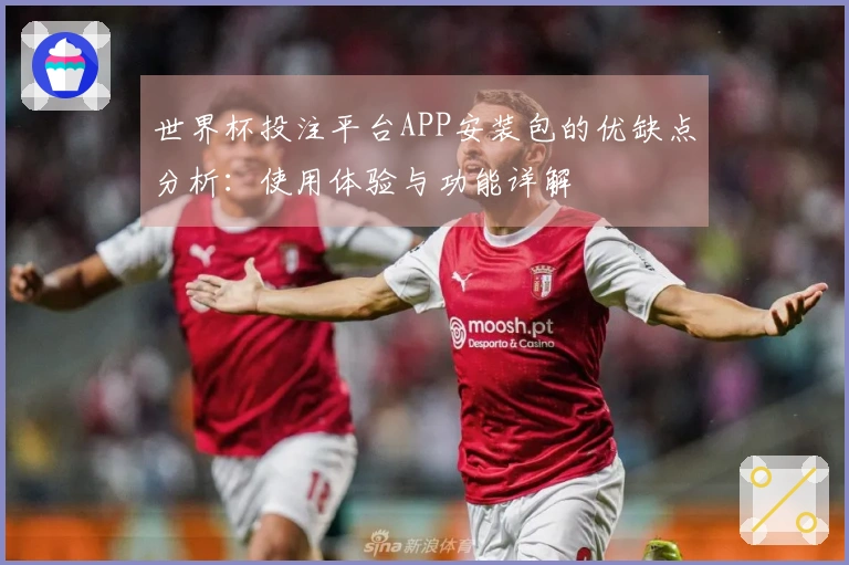 世界杯投注平台APP安装包的优缺点分析：使用体验与功能详解