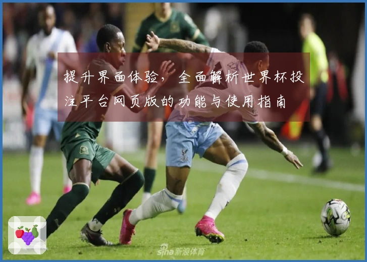 提升界面体验，全面解析世界杯投注平台网页版的功能与使用指南