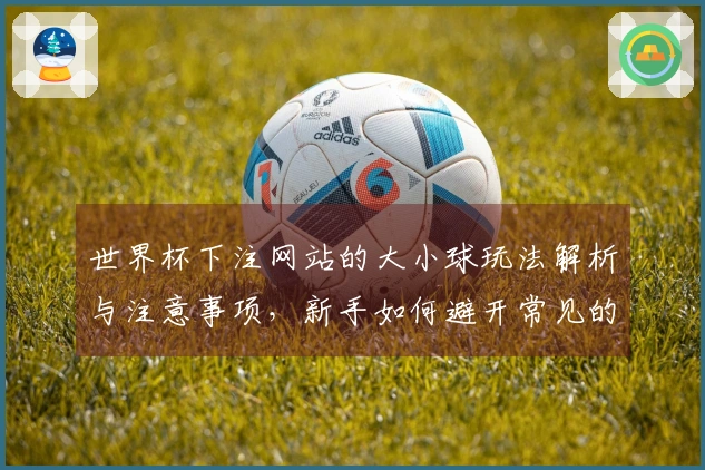世界杯下注网站的大小球玩法解析与注意事项，新手如何避开常见的投注误区