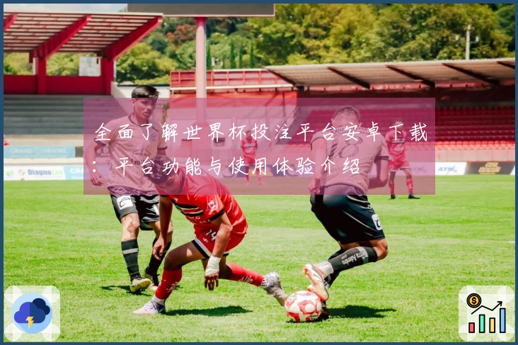 全面了解世界杯投注平台安卓下载：平台功能与使用体验介绍