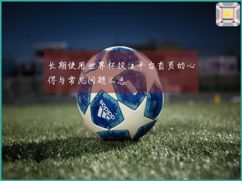 长期使用世界杯投注平台首页的心得与常见问题汇总