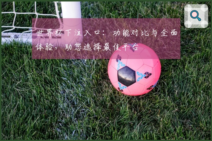 世界杯下注入口：功能对比与全面体验，助您选择最佳平台