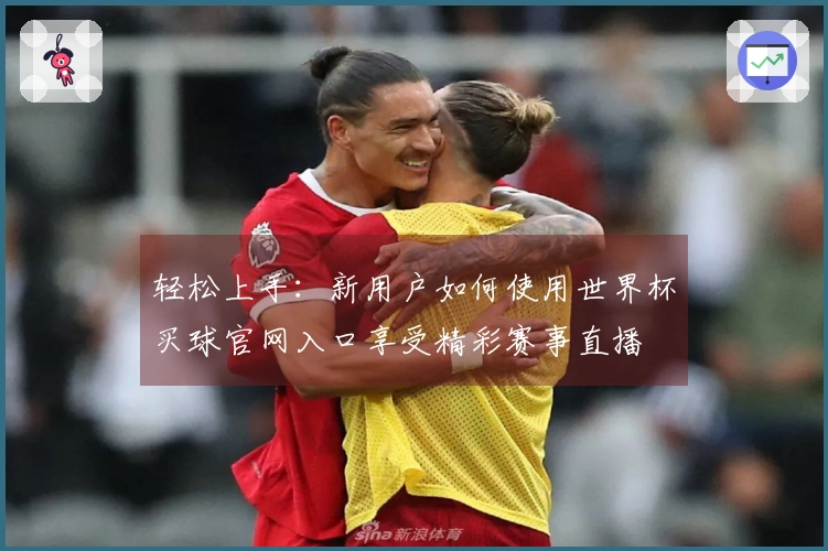 轻松上手：新用户如何使用世界杯买球官网入口享受精彩赛事直播